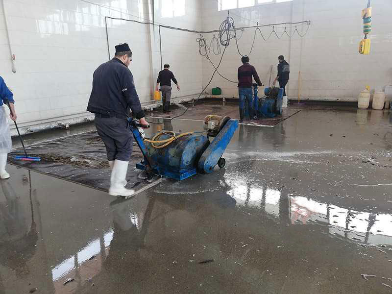 قالیشویی شریعت اوغلی